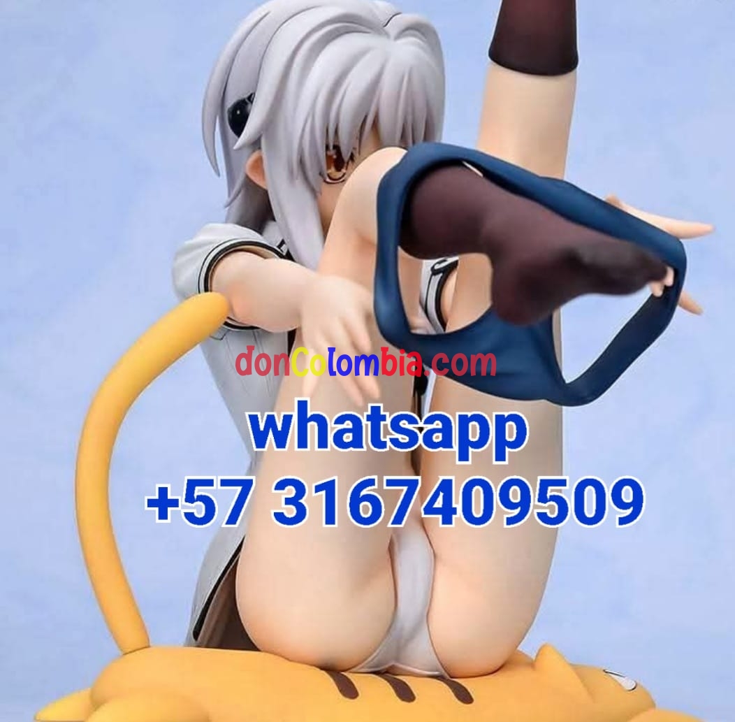 15.jpg