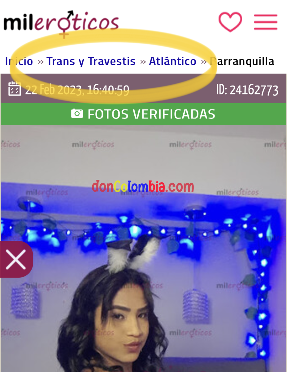 1677160451900.png