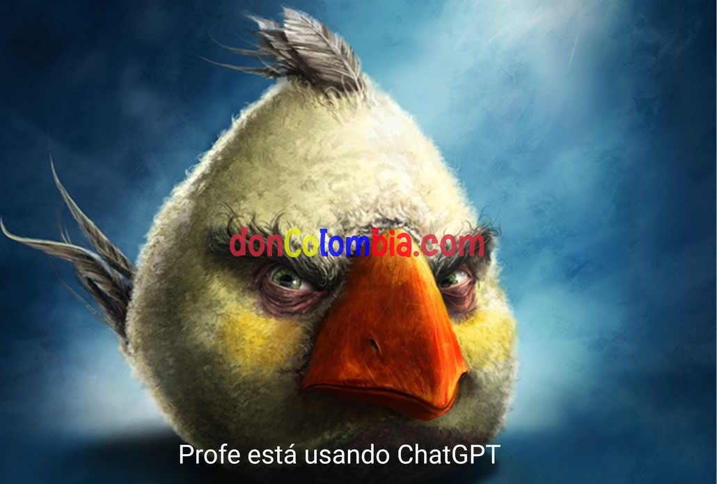 1786672302205.jpeg