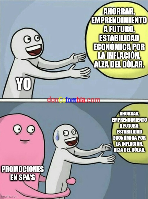 6z8qe1.jpg