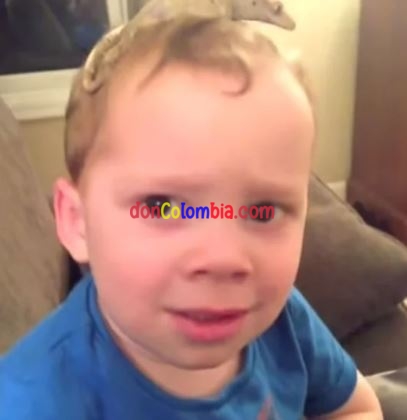 Capture.JPG