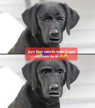 FB_IMG_1665973532817.jpg