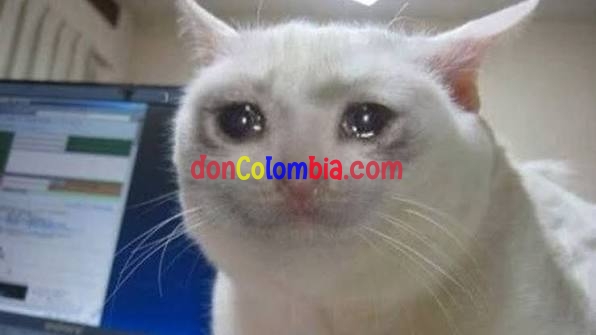 images (7).jpeg