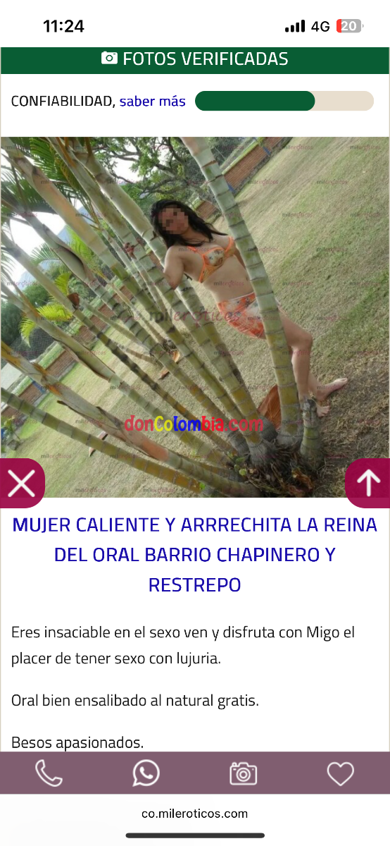 IMG_3982.png