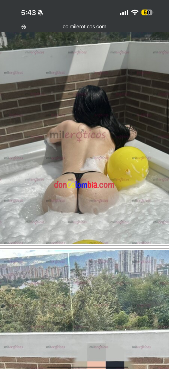 IMG_4335.png