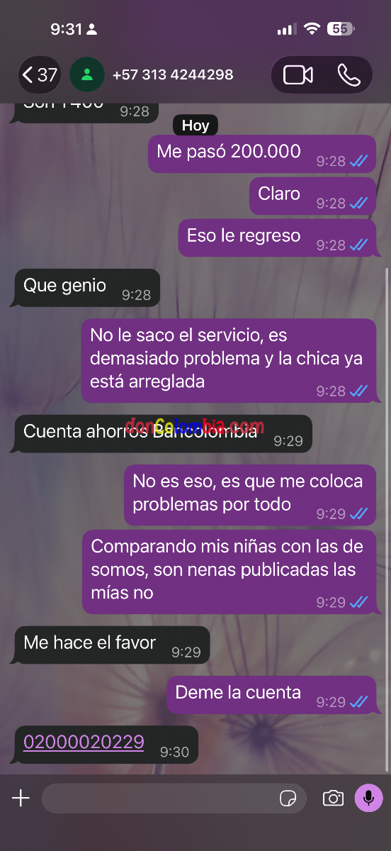 IMG_6182.png