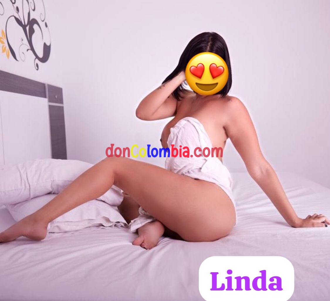 Linda 3017600643
