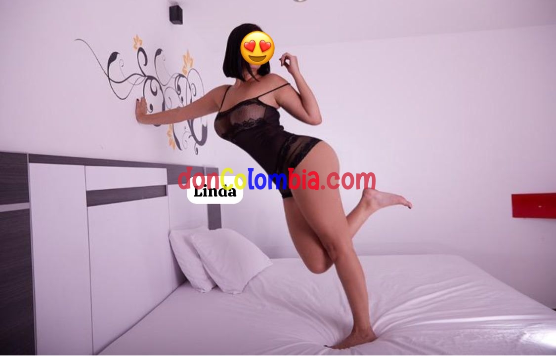 linda 3017600643