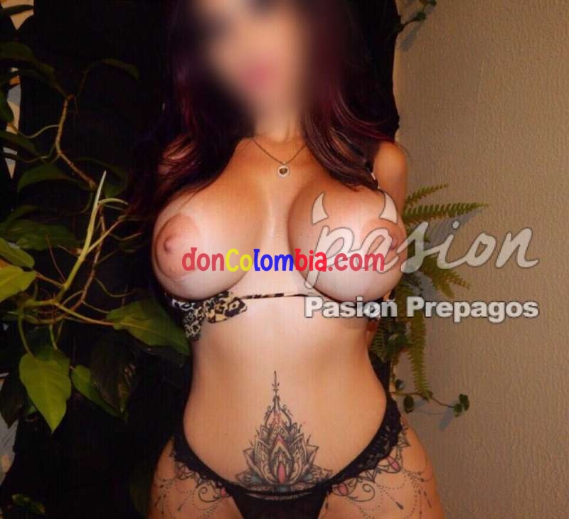 mahia-3270572-prepago-medellin-15c8ea7821e78c6758dd-800x730.jpeg