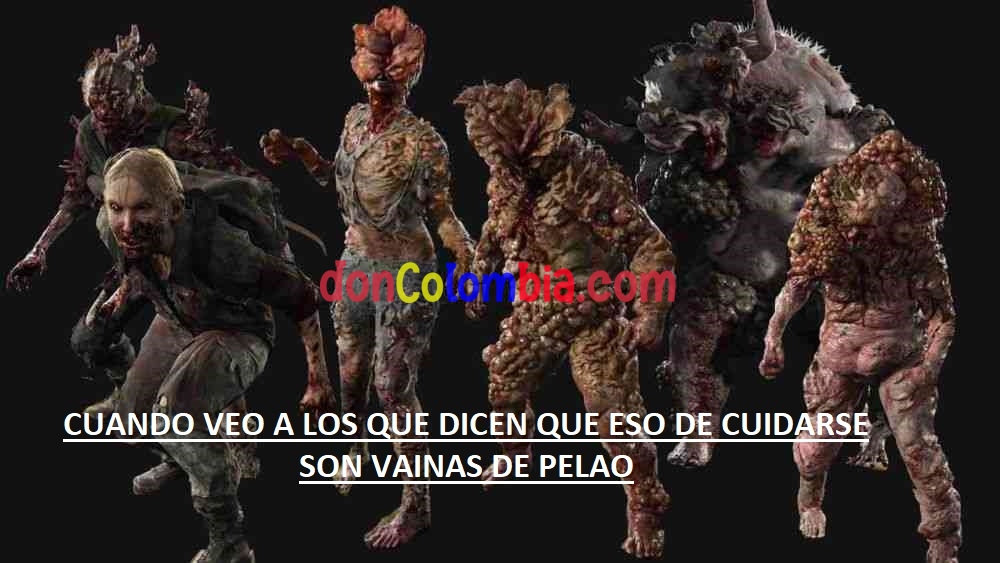 meme.jpg