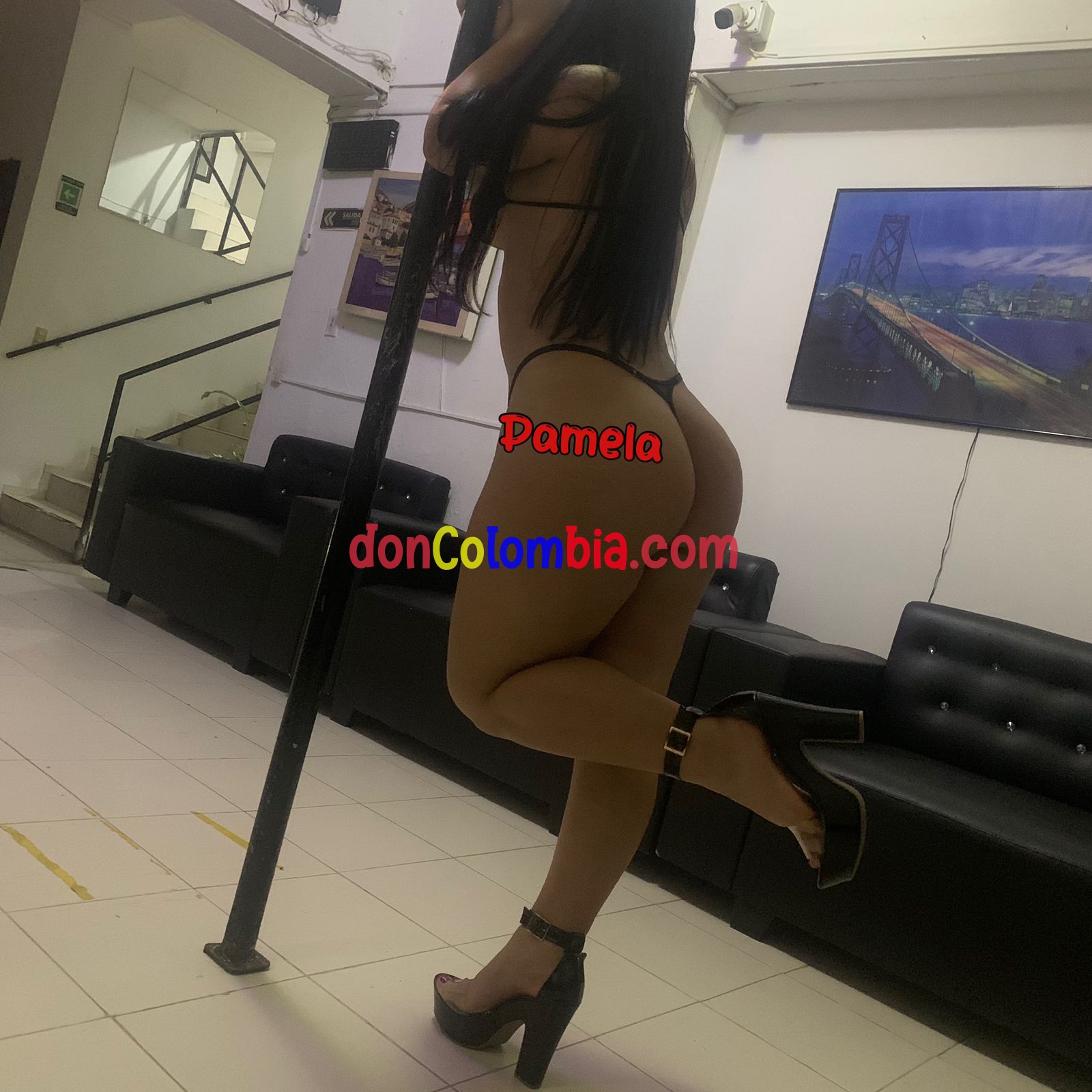 PAMELA  CARAS  LINDAS  3017600643