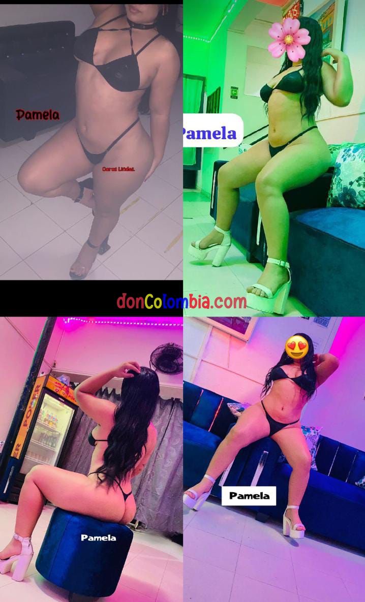 PAMELA CARAS LINDAS 3152739655