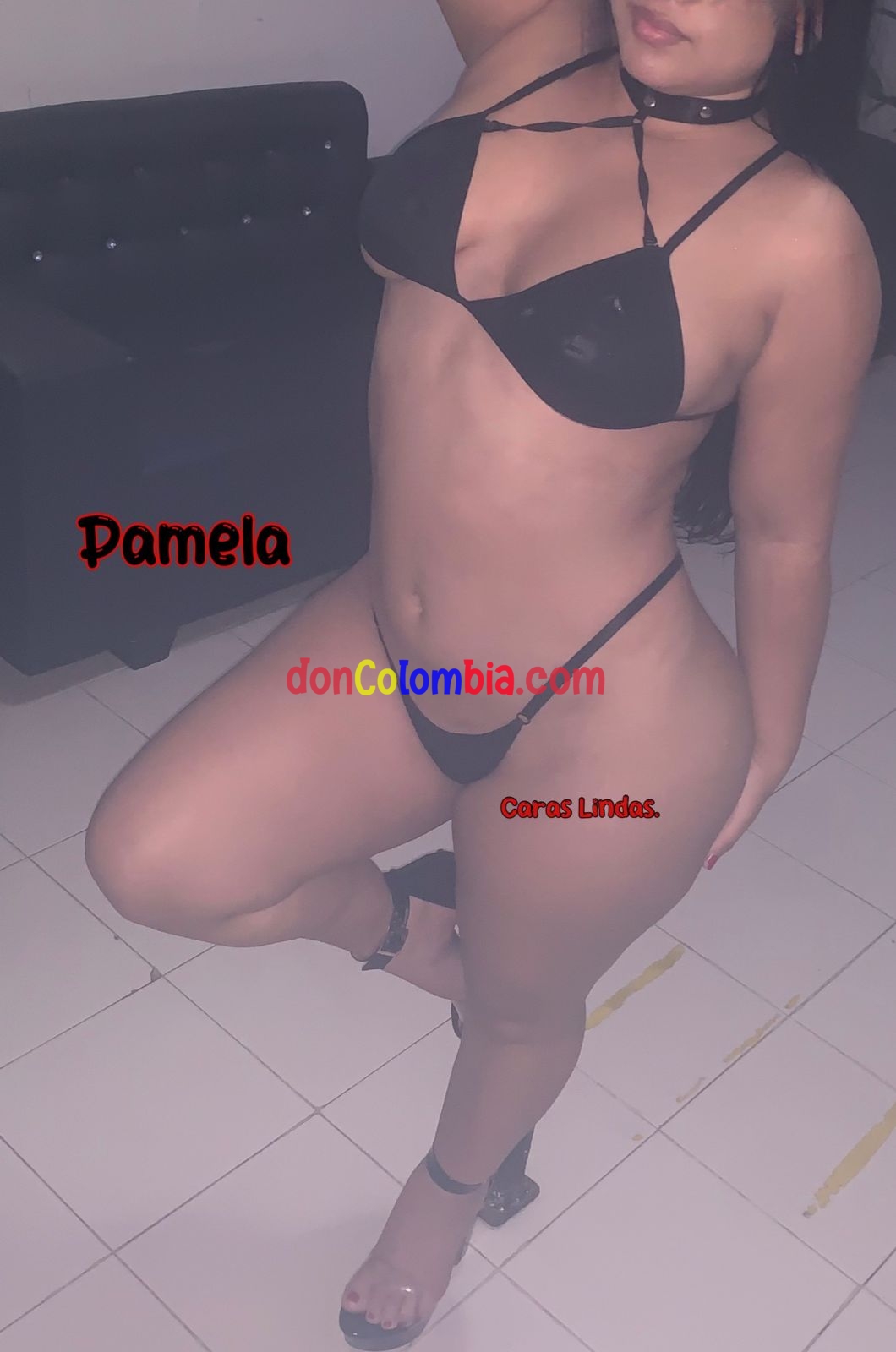 PAMELA CARAS LINDAS NORTE 3152739655