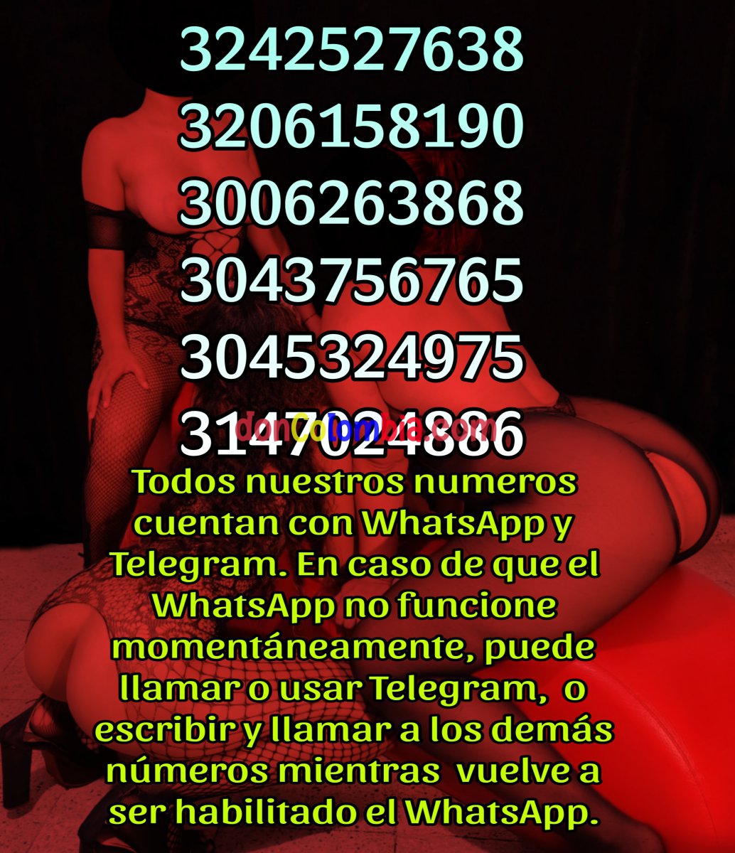 Picsart_25-05-10_15-03-56-711.jpg