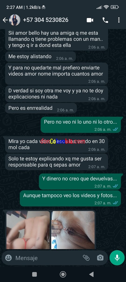 Screenshot_2022-11-20-02-27-44-658_com.whatsapp.jpg