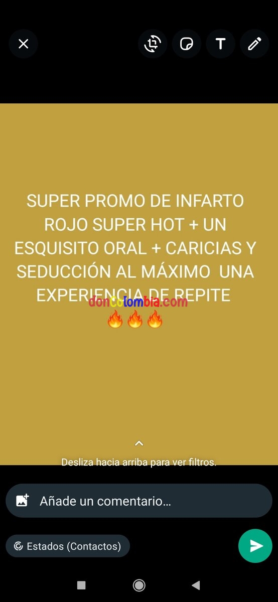 Screenshot_2024-02-19-13-29-22-347_com.whatsapp.jpg