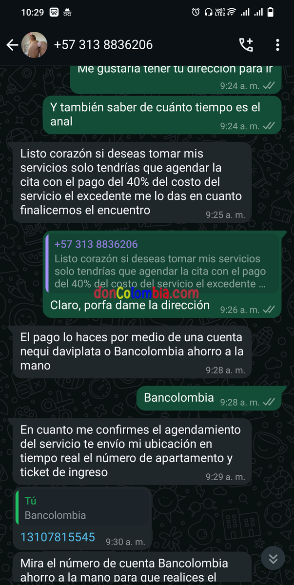 Screenshot_2024_1116_102957.png