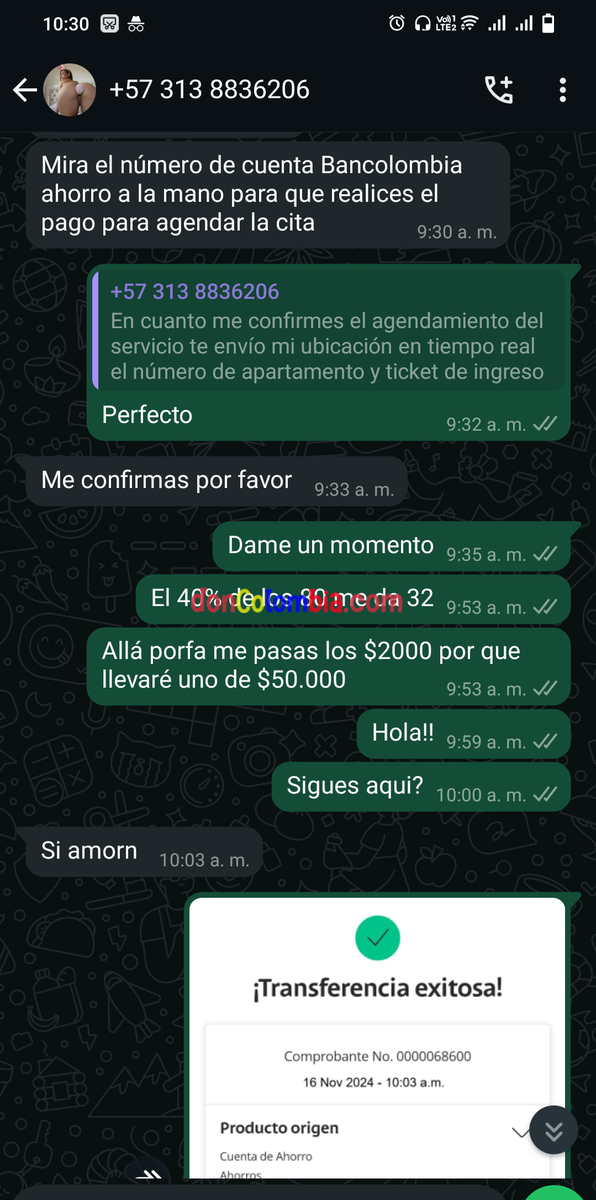 Screenshot_2024_1116_103014.png