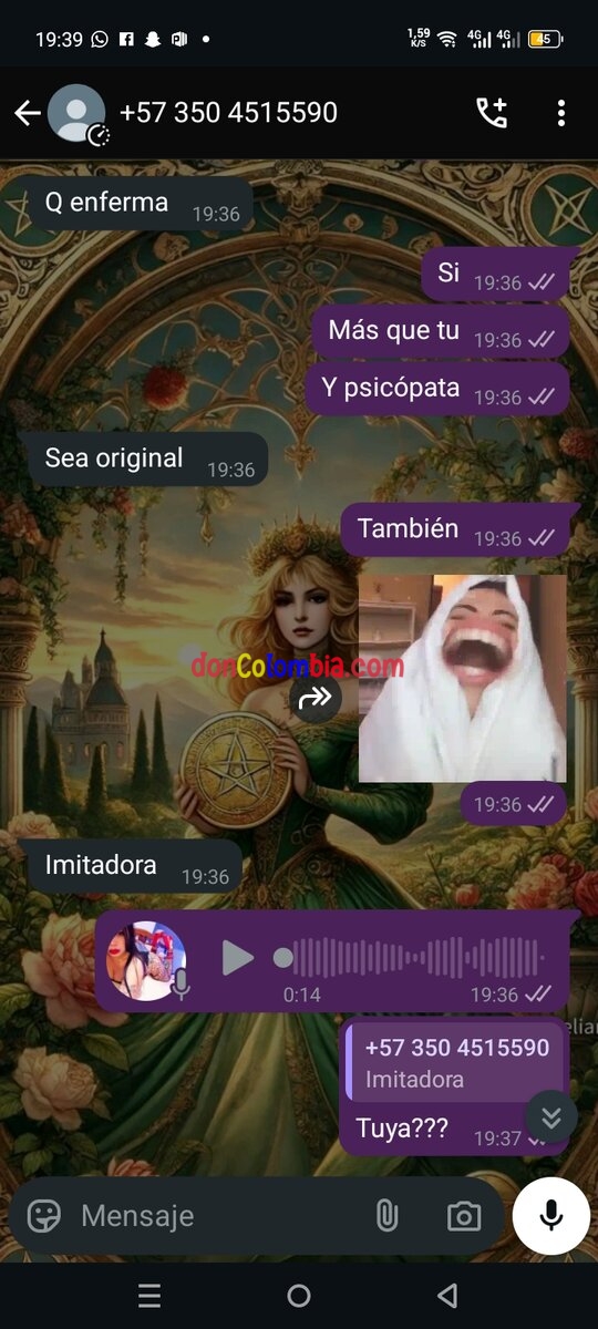 Screenshot_20250513-193959.jpg