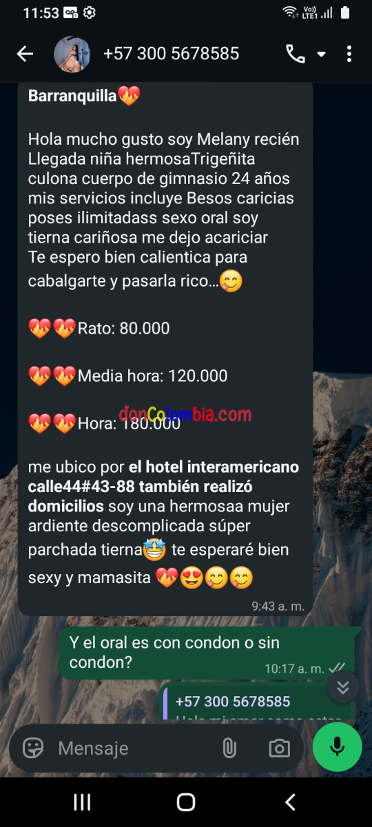 Screenshot_20260824-115338.png