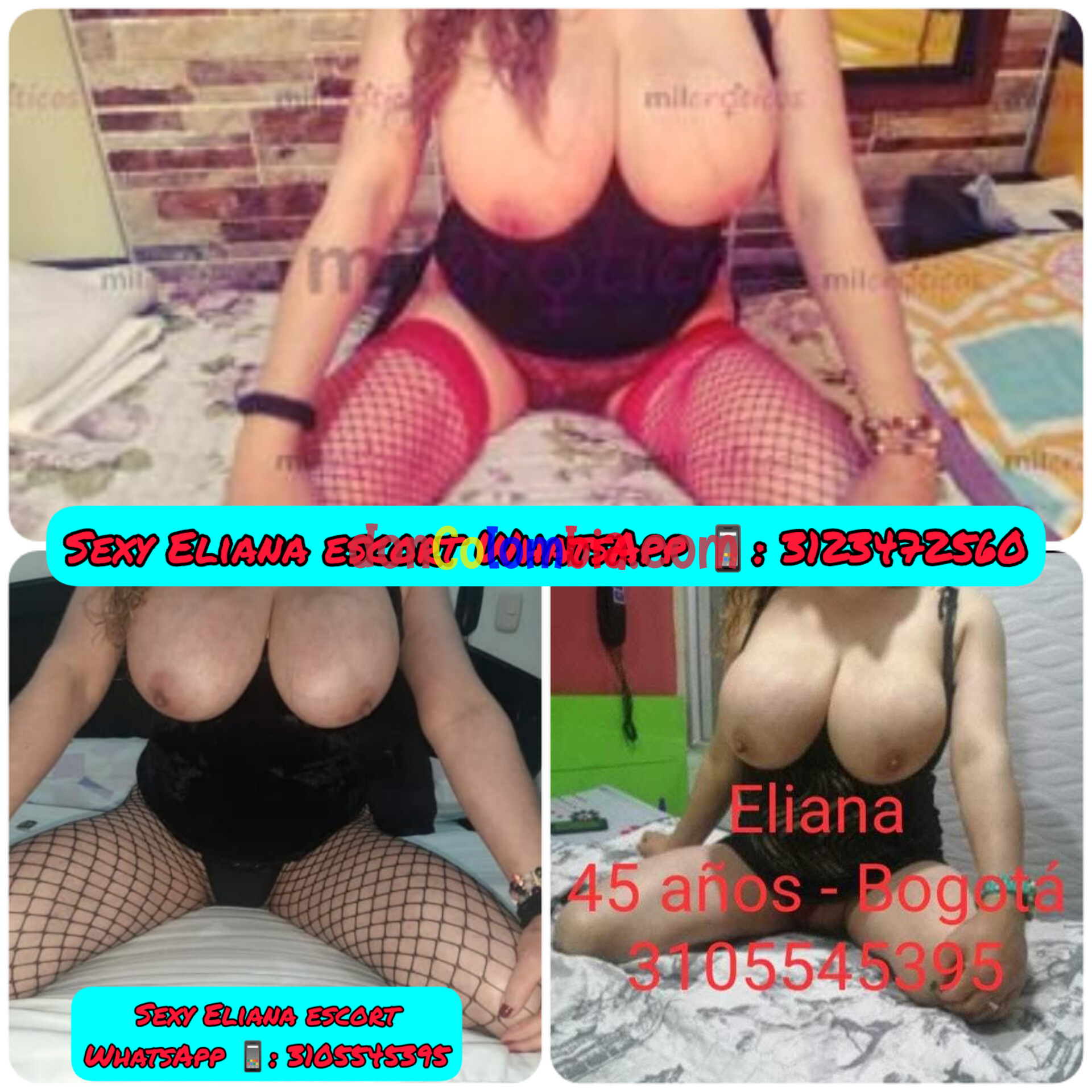 ¡Sexy Eliana escort reina de los mañaneros!